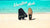 Vacation Socks with NotSocks on the beach.